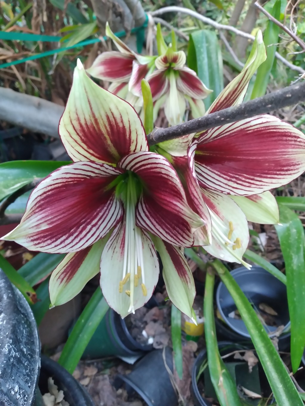 Friday Farm Day – Belated