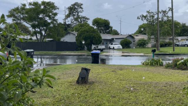 # Farm Day&nbsp;postponed