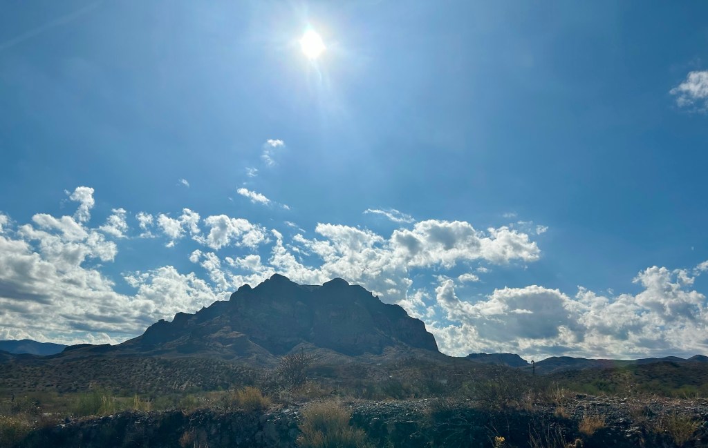 Buckle Up Buttercups