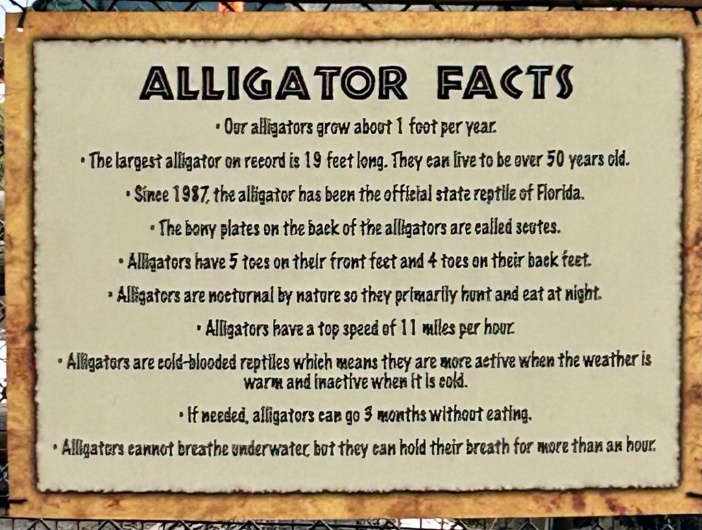 Orlando, Tourist Style