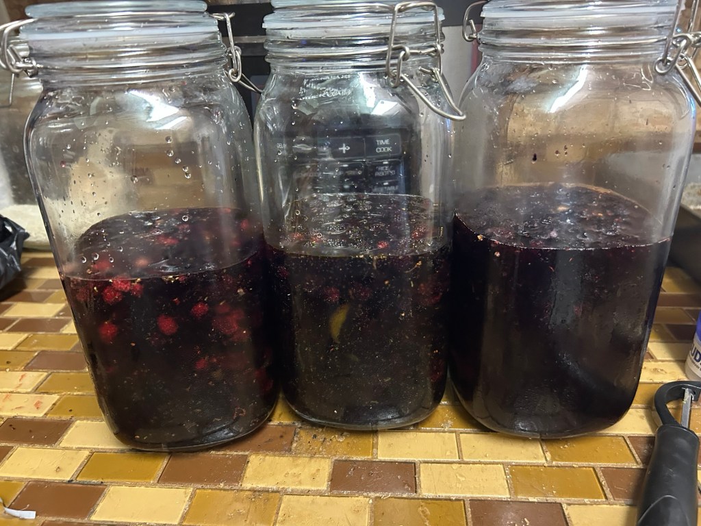 Mulberry Liqueur